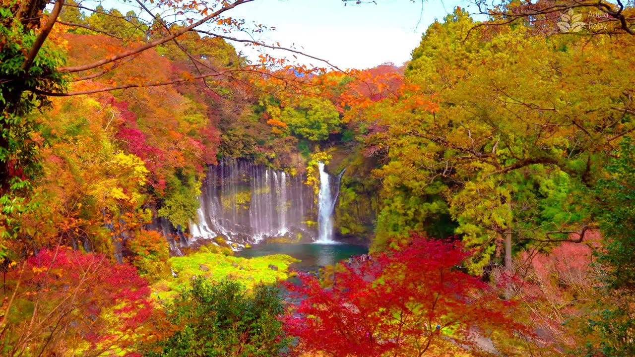 Shiraito Falls (Japan) In Autumn. 10 Hours Water White Noise. - YouTube