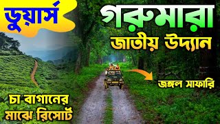 Gorumara National Park | Gorumara Jungle Safari | Gorumara Tour Plan | Gorumara Forest | Lataguri