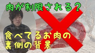 お肉が食べれない時代が来る？肉が環境破壊になる事について考えてみた