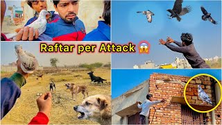 Raftar k piche Kau ( Crow ) Pad Gaya 😮 || Jungli dog Pagal Hogye 😳