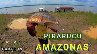 ARRIVAL OF THE FIRST PIRARUCUS - VIDEO 19