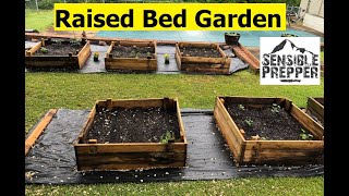 Survival Gardening  Budget Raised Beds