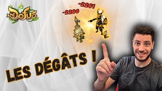 Présentation du stuff multi docrit du steamer 200. Les dégâts!  DOFUS 3 - Dakal 2