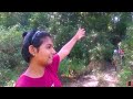 බෙරලිය වන කොමලිය ඉමේ..සුන්දර මිටියාවත...beraliya forest travel