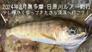 ２０２４年３月奥多摩解禁！　日原川ルアー釣行　少し暖かくなってきたから渓流へ行こう！