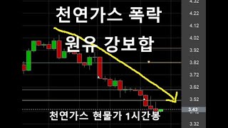 천연가스 큰폭 하락중, 원유 강보합 1월26일 보일 콜드