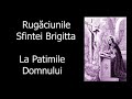 rugăciunile sfintei brigitta la patimile domnului slujitor dani