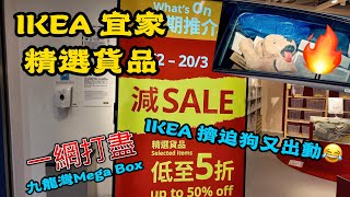 IKEA宜家精選貨品5折睇多啲 | 睇下有咩心水 | 九龍灣Mega Box |