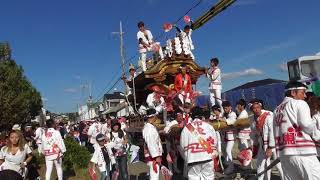 平成29年 市町東 鳴尾公園退場 唄『アジアの海賊』 千代田地区だんじり祭