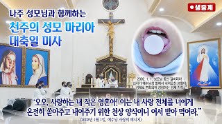 [매일미사]  2025년 1월 1일 천주의 성모 마리아 대축일(세계 평화의 날) 미사