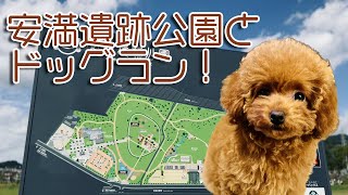 安満遺跡公園＆ドッグランにおでかけ