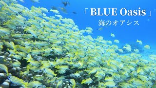 「 BLUE Oasis 」