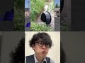 🚤vs🪣subscribe thank you❤️🤣🤣🤣【荒野の光】荒野行動 荒野の光 memes funny shorts