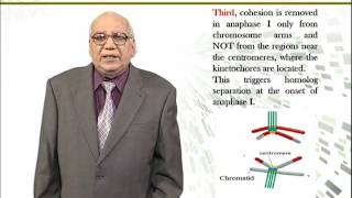 BIO731 Topic136