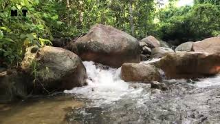 Nature in Cambodia | Chreav Mountain