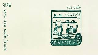 lofi chillhop study \u0026 relax | 池猫 cat café