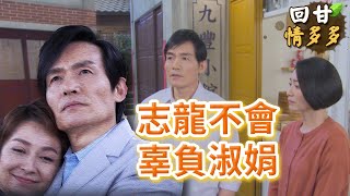 《回甘情多多》EP260 志龍不會 辜負淑娟