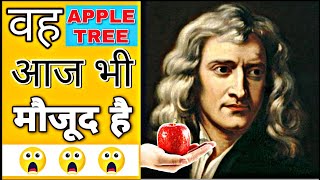 Newton का एप्पल tree आज भी मौजूद है/ Newton's apple tree/ #shorts