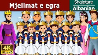 Mjellmat e egra | The Wild Swans in Albanian | @AlbanianFairyTales