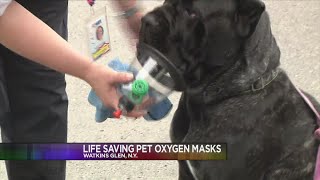 Life-Saving Pet Oxygen Mask