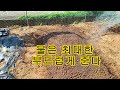 텃밭농부 1 632 쪽파밭에 밑거름 넣고 토양만드는 방법. 넓은 평두둑에 6줄심기. 쪽파재배