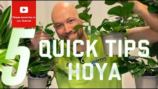 5 Quick tips Hoya