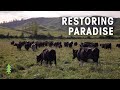 Farming Sustainably with Regenerative Agriculture | Restoring Paradise