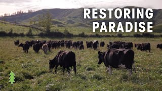 Farming Sustainably with Regenerative Agriculture | Restoring Paradise