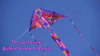 Spectacular Quilted Strata Delta kite