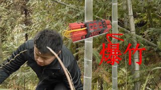 Ignite firecrackers and stuff them into bamboo. Will they explode?将点燃烟花爆竹塞进竹子里，竹防御高还是爆竹威力大，能炸开吗？