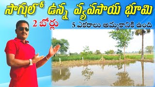 సాగులో ఉన్న భూమి 5 ఎకరాలు అమ్మకానికి ఉంది ll 2 బోర్లు ఉన్నాయి ll #rjrpropertiesservices