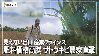 見えない出口 産業クライシス 肥料価格高騰 サトウキビ農家直撃（沖縄テレビ）2022/10/19