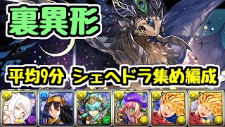 【パズドラ】裏異形でシェヘラザードドラゴン集め編成紹介！ 1周平均9分でめっちゃ快適！！