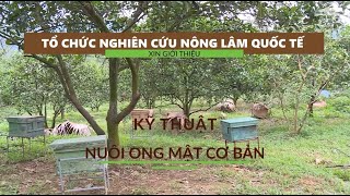 Kỹ thuật nuôi ong lấy mật tập 4