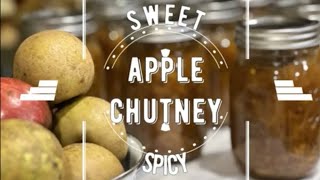 APPLE CHUTNEY ~SWEET & SPICY