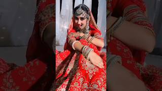 Saari Duniya Jala Denge । Animal Movie Teaser। #bollywood #song #newsong #animal #music #bridal