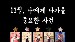 [타로] 11월 나에게 다가올 중요한 사건