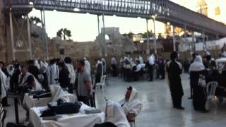 Torah kotel הכותל המערבי פרשת וזאת הברכה קריאה בספר התורה