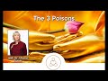 The 3 Poisons | Dharma Talk by Dr. Cheryl Fraser