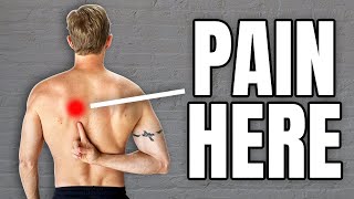 Mid Back Pain Exercises (Thoracic Joints, Rhomboids, Ribs)
