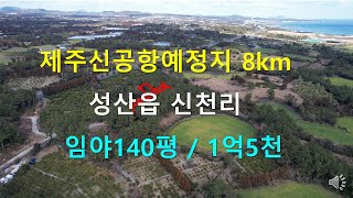 [제주빠빠] 성산읍 신공항예정에서 8km 투자용,전원주택지용 임야 140평 1억5천 ☎ 010-3318-5088