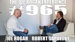 Joe Rogan Experience #965 -  Robert Sapolsky