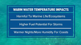 'Hot tub level' | Water temperatures off Florida Keys challenges global record