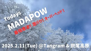 今日のまだパウ！は「超どパウ」　@ タングラム \u0026 斑尾高原スキー場