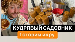 КУДРЯВЫЙ САДОВНИК (Готовим Икру )