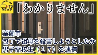 ひとり暮らしの祖母の額などを包丁で刺して殺害しようとしたか…男子高校生（１７）を逮捕　室蘭市