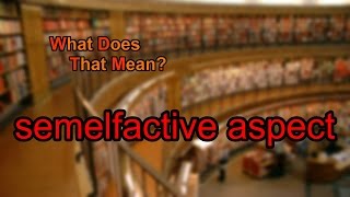 What does semelfactive aspect mean?