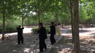 Tai chi (太极拳) tàijíquán – the  Chinese art of movement