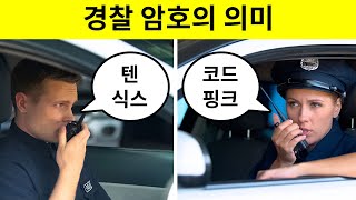 항상 궁금했던 경찰 무전 용어 37가지