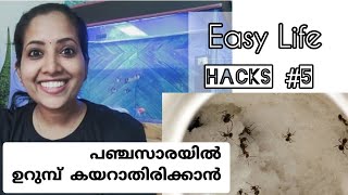 Easy Life Hacks #5 || Malayalam || പഞ്ചസാരയിൽ ഉറുമ്പ് കയറാതിരിക്കാൻ